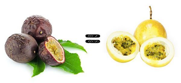 Mẹo chọn trái cây tươi ngon, chín tới: không nên mua đu đủ có đốm đen