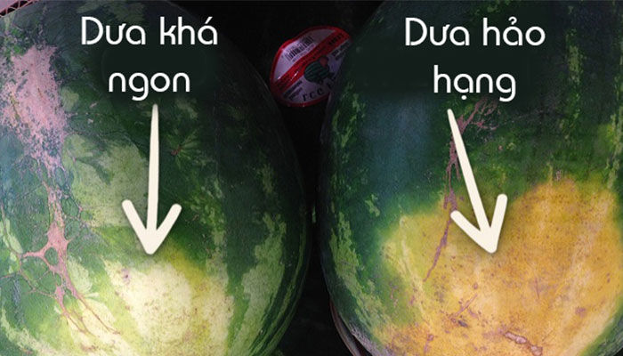Mẹo chọn trái cây tươi ngon, chín tới: không nên mua đu đủ có đốm đen
