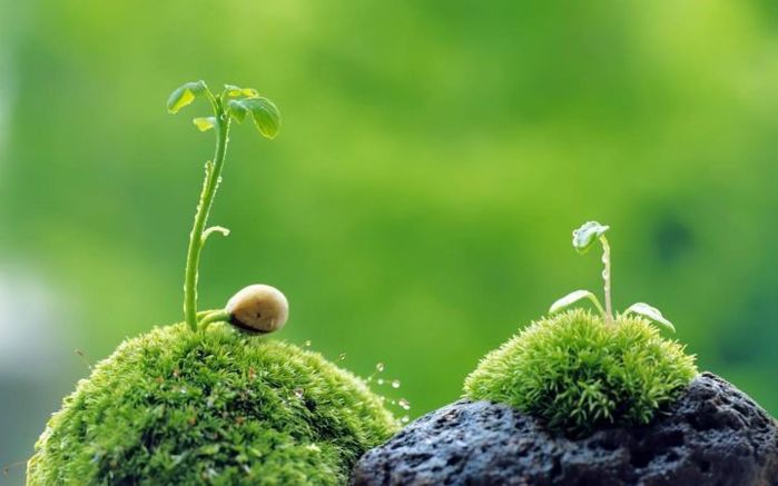 Những nỗi sợ kỳ lạ khiến nhiều người nổi da gà, nhất là cái đầu tiên