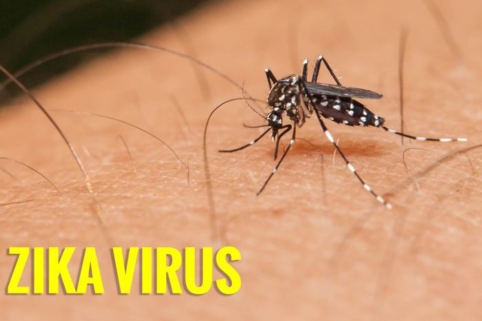 Xuất hiện 1 ca mắc virus Zika, BS cảnh báo ban đầu chỉ sốt nhẹ