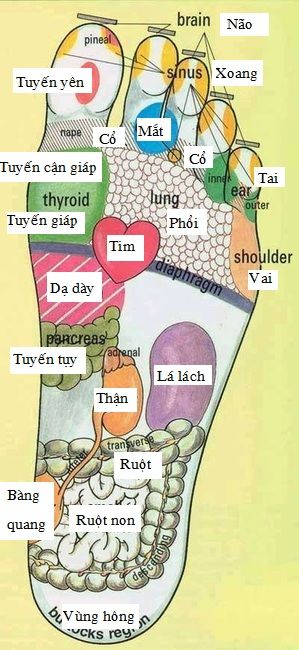 13 mẹo chữa bệnh không dùng thuốc: chườm đá vào bàn tay chữa đau răng