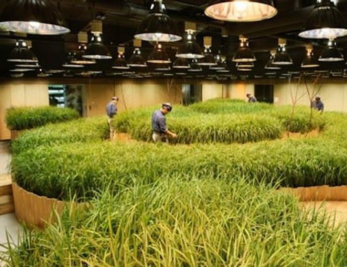15 điều chứng tỏ Nhật Bản đã đi trước thế giới hàng trăm năm