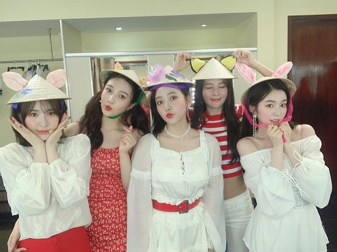 Sao Hàn được lòng fan Việt nhất: Lisa, Lee Kwang Soo được gọi tên