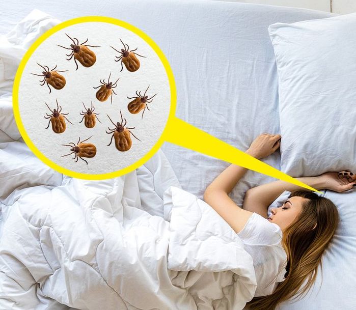 6 thói quen vệ sinh chúng ta đã làm sai cả đời mà không biết
