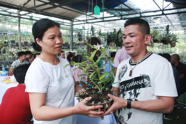 Đại gia Hà Nội chi 5 tỷ đồng để mua giỏ lan đột biến 5 cánh