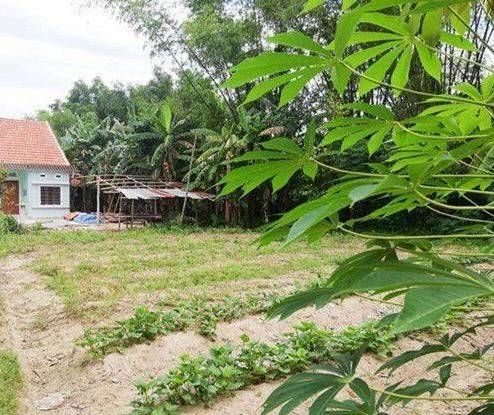 Dù giàu có, Trường Giang - Nhã Phương vẫn ở căn nhà cấp 4 tại quê nhà