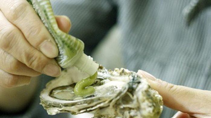 Người đàn ông tử vong khi ăn hàu sống, BS lên tiếng cảnh báo