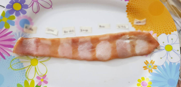 Thí nghiệm so sánh tác dụng của 7 loại kem chống nắng bằng da heo