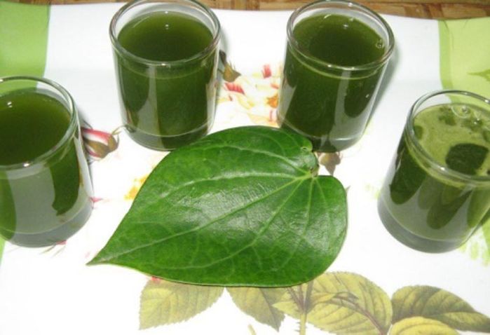 Mẹo hay giảm viêm lỗ chân lông cực nhanh mà dễ ợt với lá trầu không