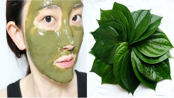 Mẹo hay giảm viêm lỗ chân lông cực nhanh mà dễ ợt với lá trầu không