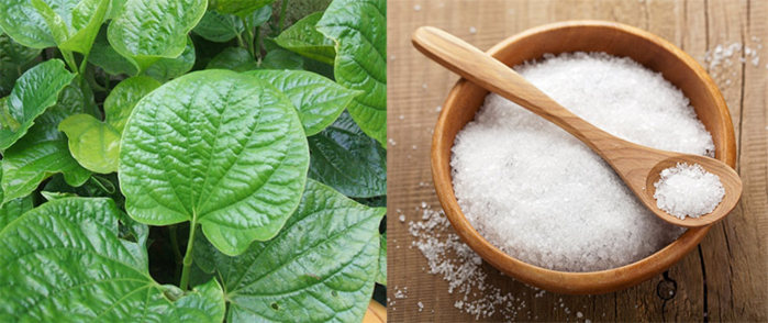 Mẹo hay giảm viêm lỗ chân lông cực nhanh mà dễ ợt với lá trầu không