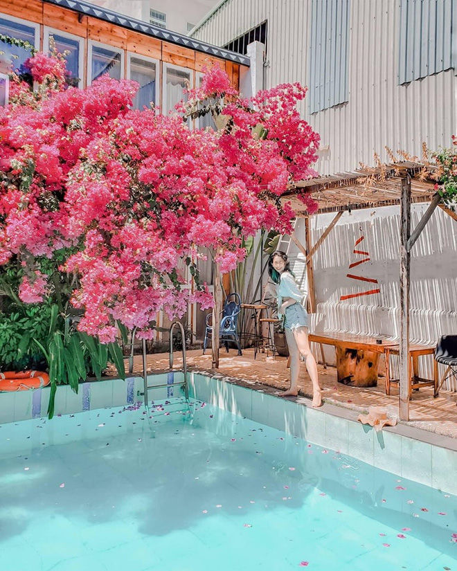 Homestay Vũng Tàu giá hạt dẻ dưới 500k/đêm