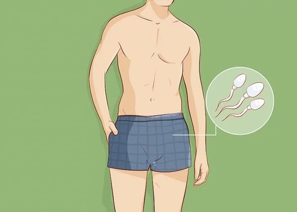 Vì sao chuyên gia khuyên nam giới nên mặc quần đùi thay vì quần sịp?