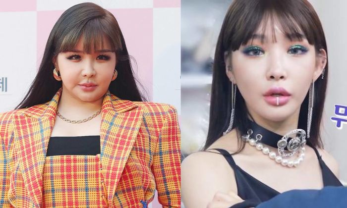 Idol nữ Kpop khiến fan tiếc hùi hụi vì nhan sắc dần khác xưa