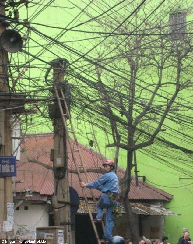 Top công việc kinh dị dành cho người gan to: thợ điện, thợ phối giống