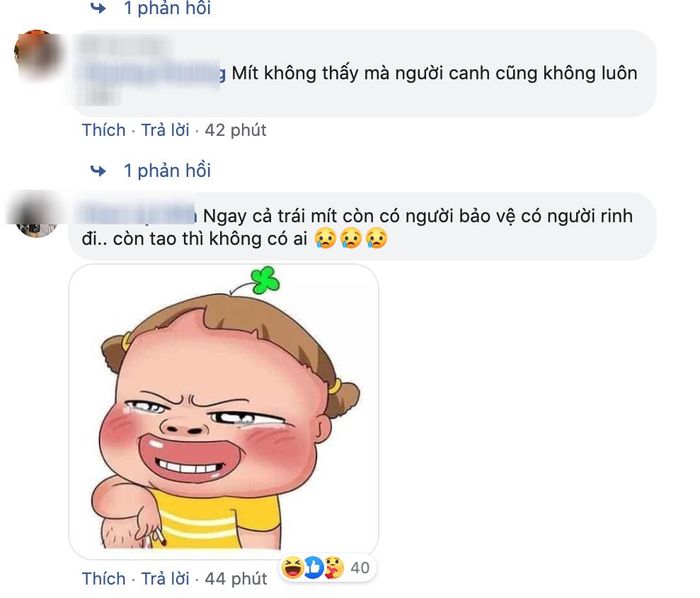 Dân tình nháo nhào trước tin quả mít an toàn nhất Việt Nam biến mất