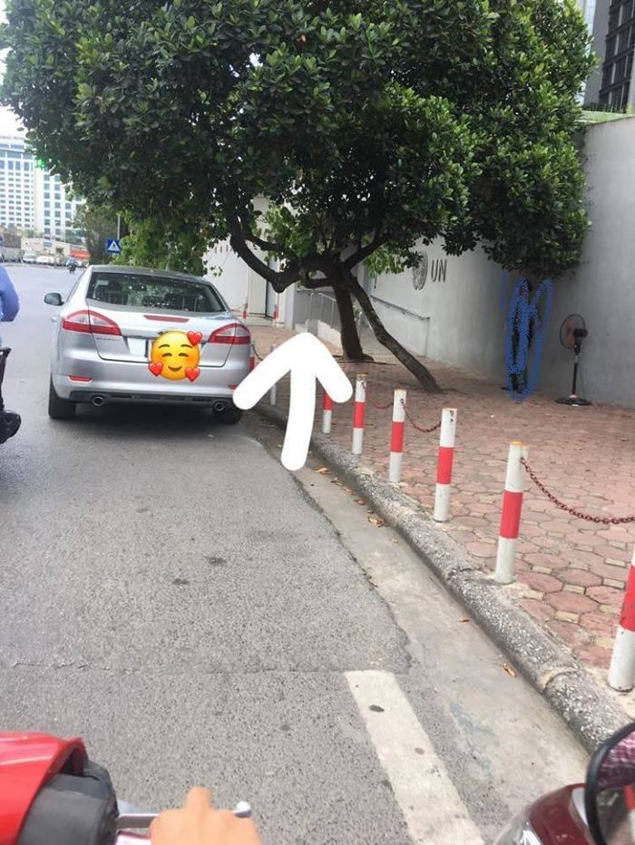 Dân tình nháo nhào trước tin quả mít an toàn nhất Việt Nam biến mất