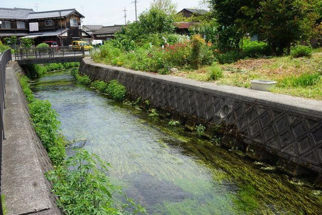 Ngôi làng có kênh rạch sạch đến mức người dân lấy nước nấu cơm