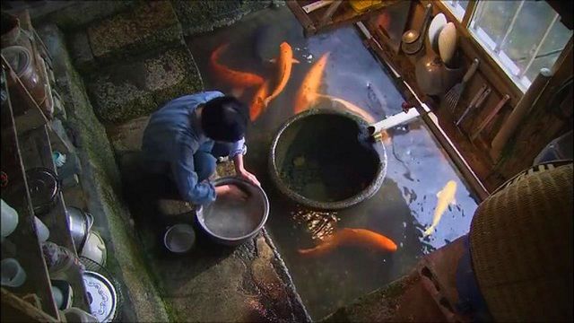 Ngôi làng có kênh rạch sạch đến mức người dân lấy nước nấu cơm