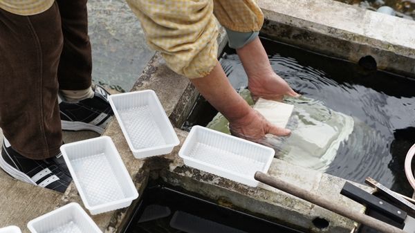 Ngôi làng có kênh rạch sạch đến mức người dân lấy nước nấu cơm