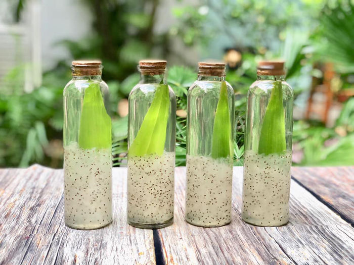 Mủ trôm - thức uống ngon bổ rẻ, giúp dáng đẹp, da xinh như Ngọc Trinh