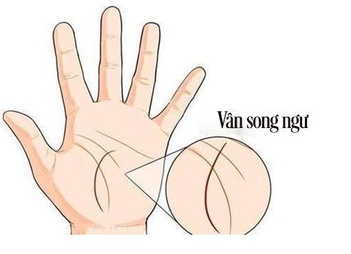 Top 4 đường chỉ tay ai sở hữu phú quý song toàn