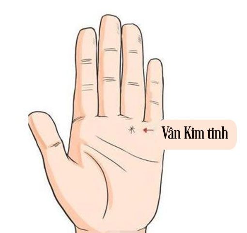 Top 4 đường chỉ tay ai sở hữu phú quý song toàn
