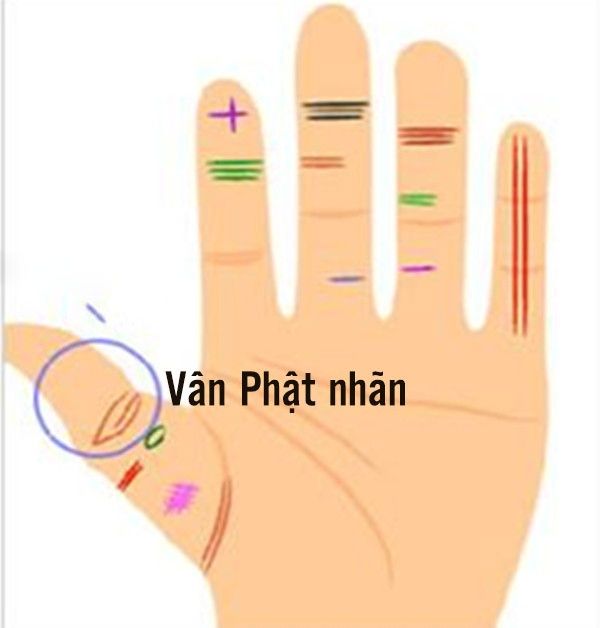 Top 4 đường chỉ tay ai sở hữu phú quý song toàn