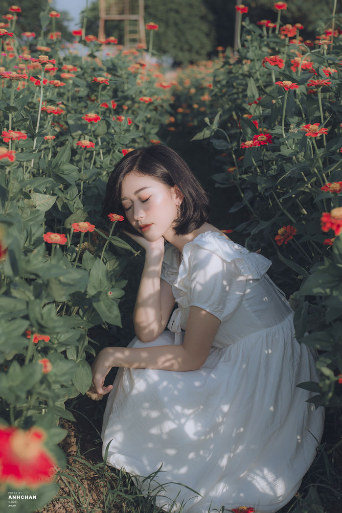 Tử vi thứ Tư 1/7/2020 của 12 con giáp hôm nay