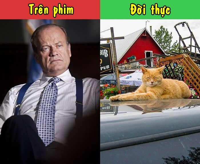 12 nghề nghiệp khác ''một trời một vực'' so với trên phim