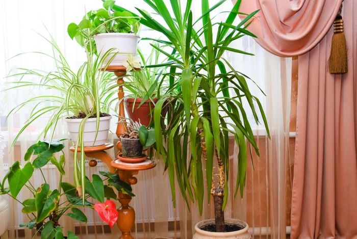 12 lỗi bài trí khiến căn hộ chung cư trông tuềnh toàng, rẻ tiền