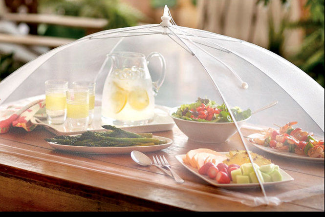 4 sai lầm khi vẫn tiếp tục dùng thức ăn đã bị ruồi bâu