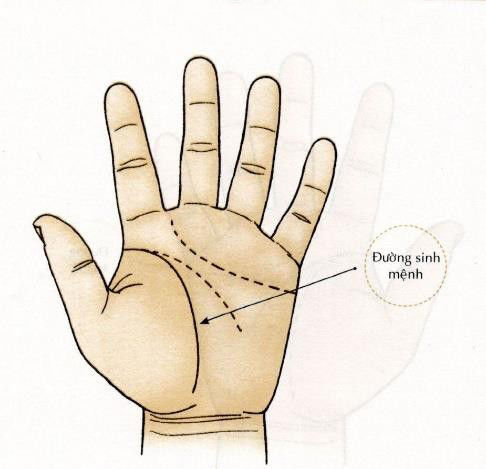 4 tướng chỉ tay tiết lộ tuổi phụ nữ nên kết hôn để gia đình viên mãn