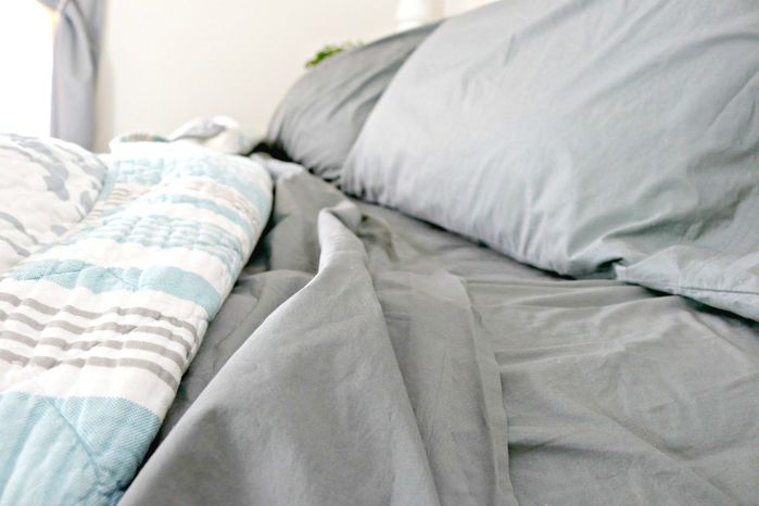Cách đối phó kiến ba khoang tái xuất tránh gây mụn mủ, phồng rộp