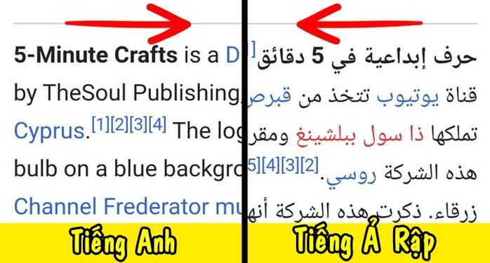 5 lí do logo thương hiệu luôn nằm ở bên trái sản phẩm