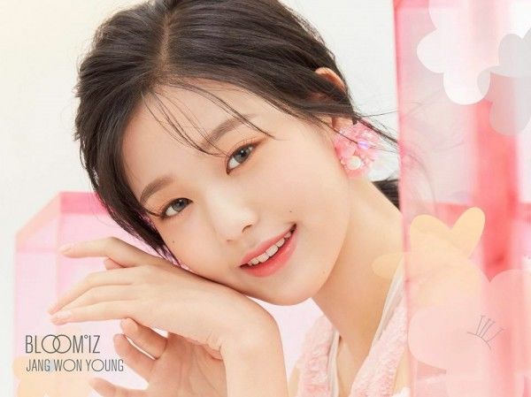 Lộ ảnh quá khứ, Jang Won Young bị nghi động chạm dao kéo