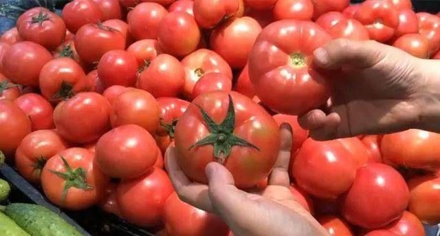 Bật mí mẹo chọn cà chua, lướt nhìn cũng phân biệt được chất lượng