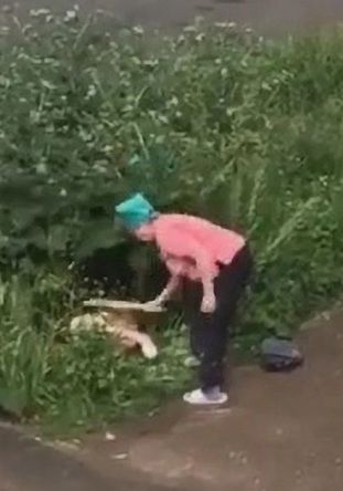 Phát hiện cặp đôi mây mưa trong bụi rậm, người phụ nữ ra tay dạy dỗ