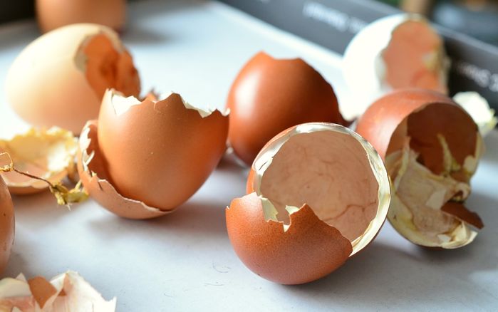 Cải thiện da lão hóa, giảm mụn bằng vỏ trứng: Trộn với chanh, mật ong