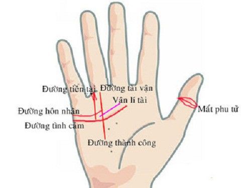 Có 4 dấu hiệu trên bàn tay ngầm báo bạn sắp trúng số, sẽ giàu to