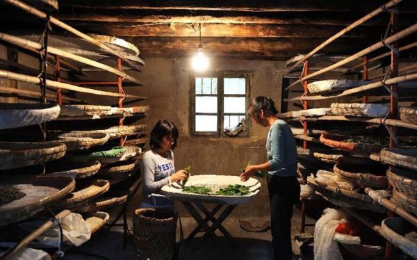 Dùng bóng rổ làm chân, cô gái nỗ lực trở thành kình ngư bơi lội