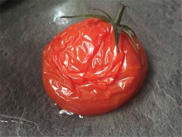 Không nên bảo quản cà chua, bánh mì trong tủ lạnh vì dễ bị hỏng