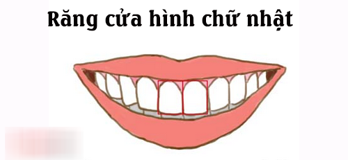 Nhân tướng học: Tướng răng cửa tiết lộ bản chất tốt xấu của một người