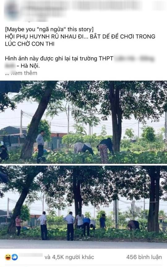 Chờ con thi, hội phụ huynh liền rủ nhau bắt dế chơi tìm lại tuổi thơ