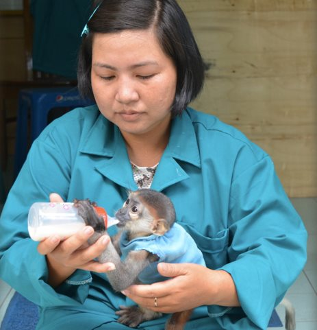 300 nhân viên Thảo Cầm Viên đồng lòng giảm 30% lương để duy trì sở thú