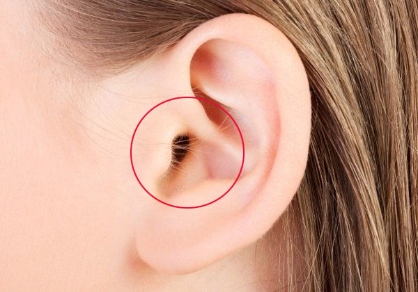 4 vị trí mọc lông tưởng xấu mà tốt, càng mọc nhiều càng phát tài