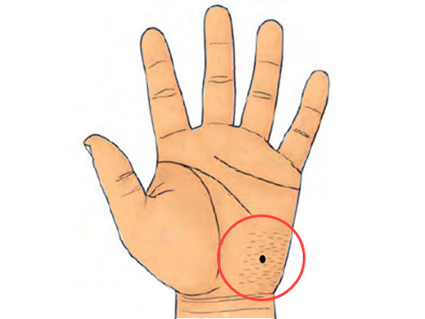  4 vị trí nốt ruồi trên tay là dấu hiệu người có nhân duyên viên mãn