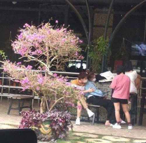 5 lần 7 lượt Lan Ngọc check in địa điểm được cho chung cư Chi Dân ở
