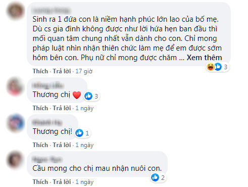 Nhật Kim Anh bất lợi vụ đòi nuôi con, phái nữ bình luận trái chiều