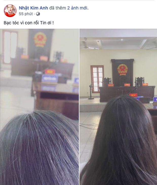 Nhật Kim Anh, Lại Hương Thảo khổ sở vì giành quyền nuôi con